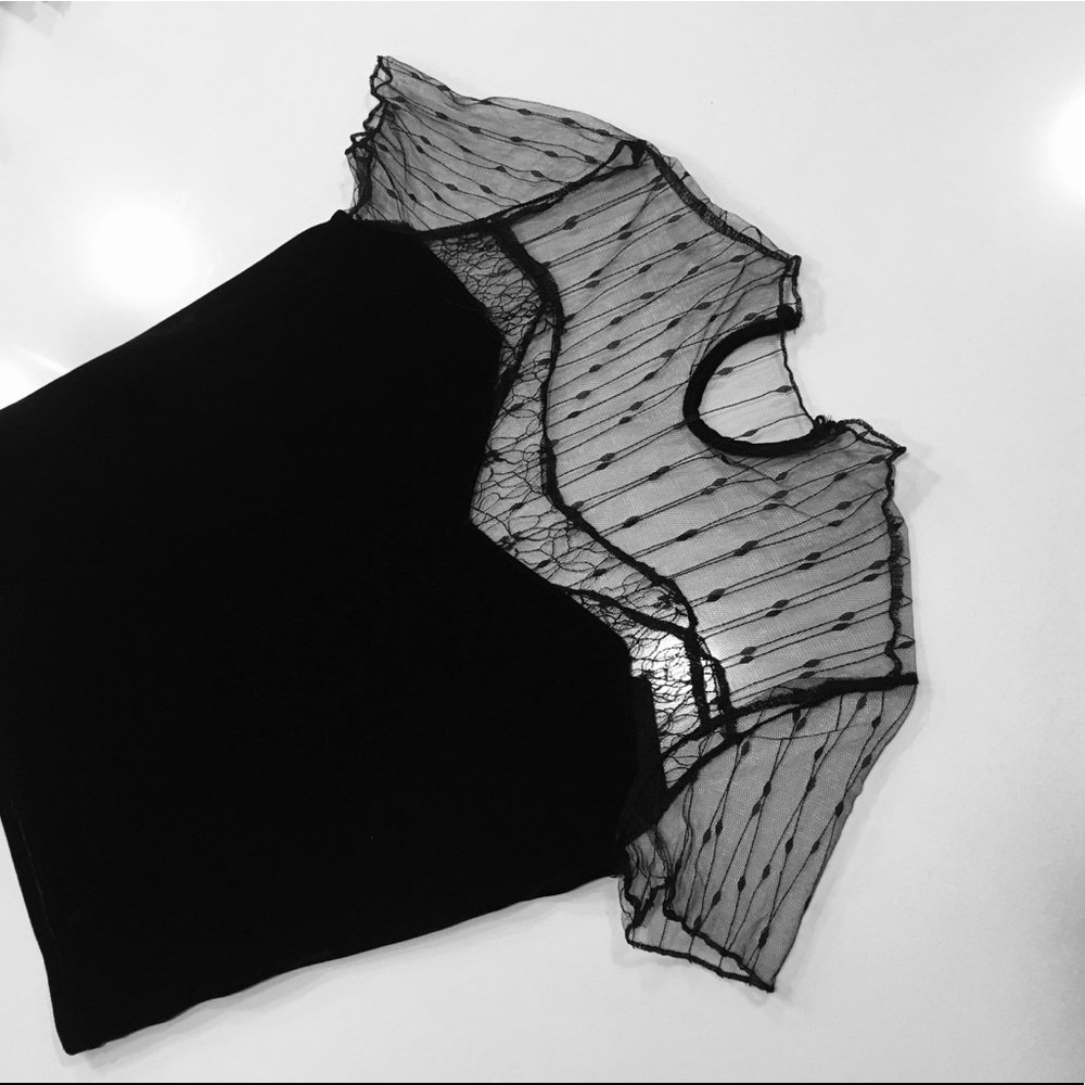 Velvet & Mesh Top โ ๏ธ - Picture 5 of 5